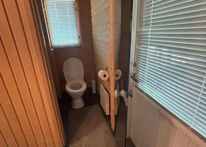 Koljonvirta فيلة