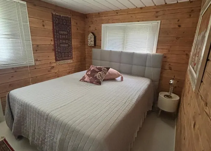 Koljonvirta فيلة *